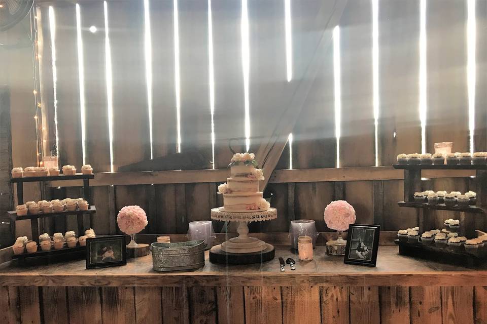 Cake and Cupcakes