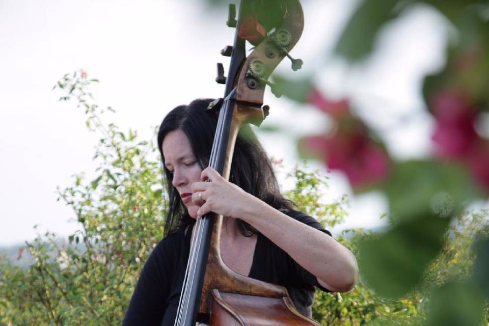 20-piece chamber orchestra