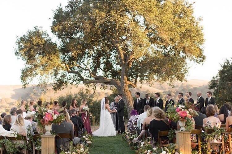 Outdoor wedding