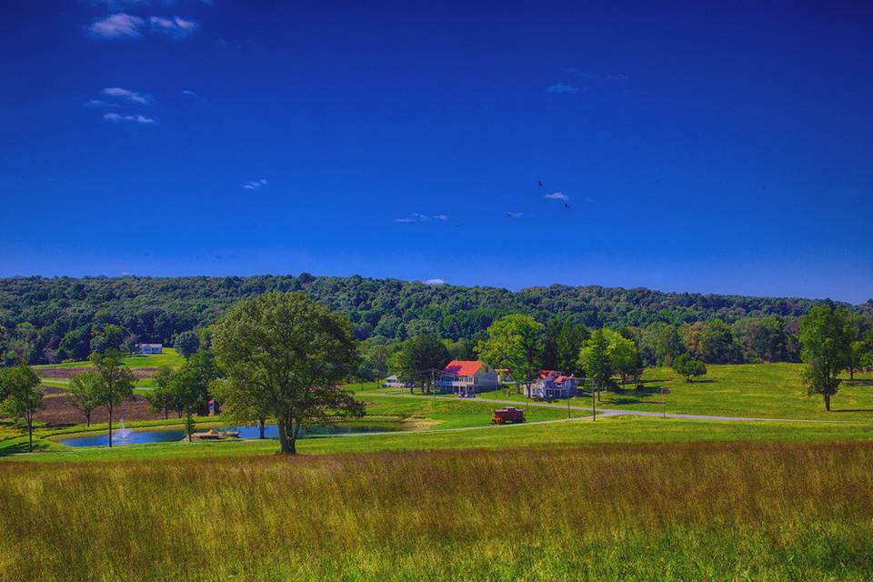 Caboose Farm