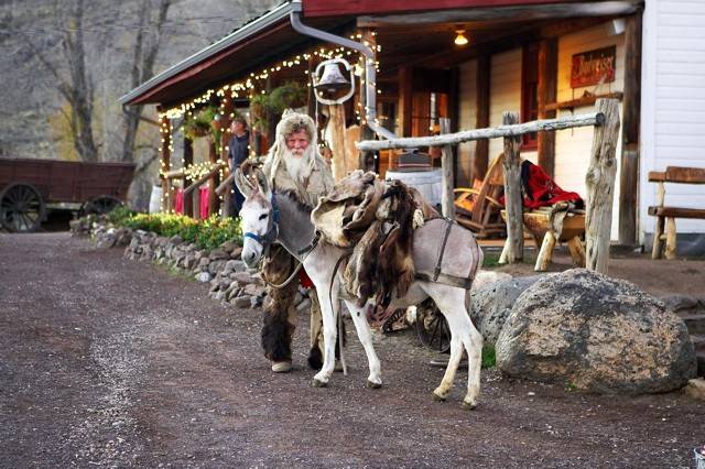 Winter Wedding