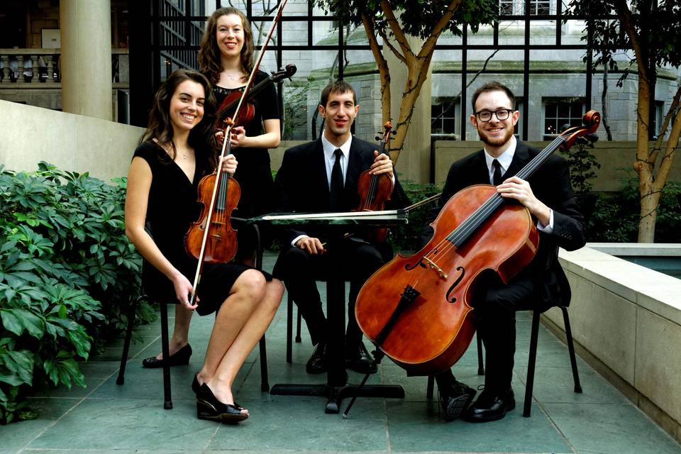 String quartet garden performance