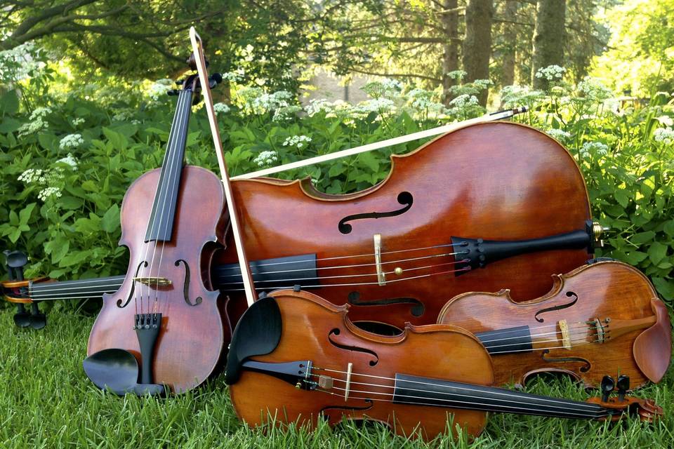 Violins and cello