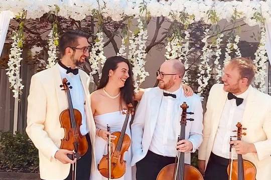 The Delmonico String Quartet