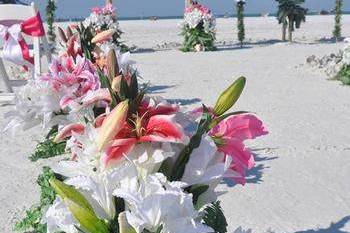 Simply Tropical