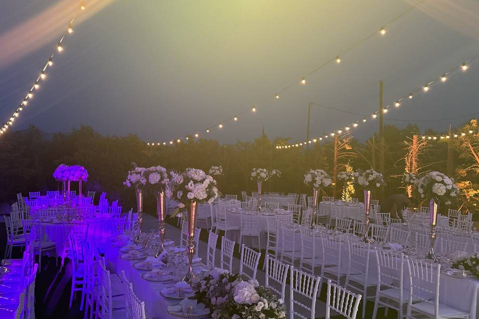 Elegant architectural lighting