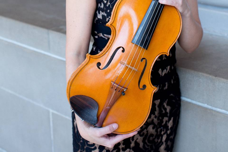 Beautiful string instrument