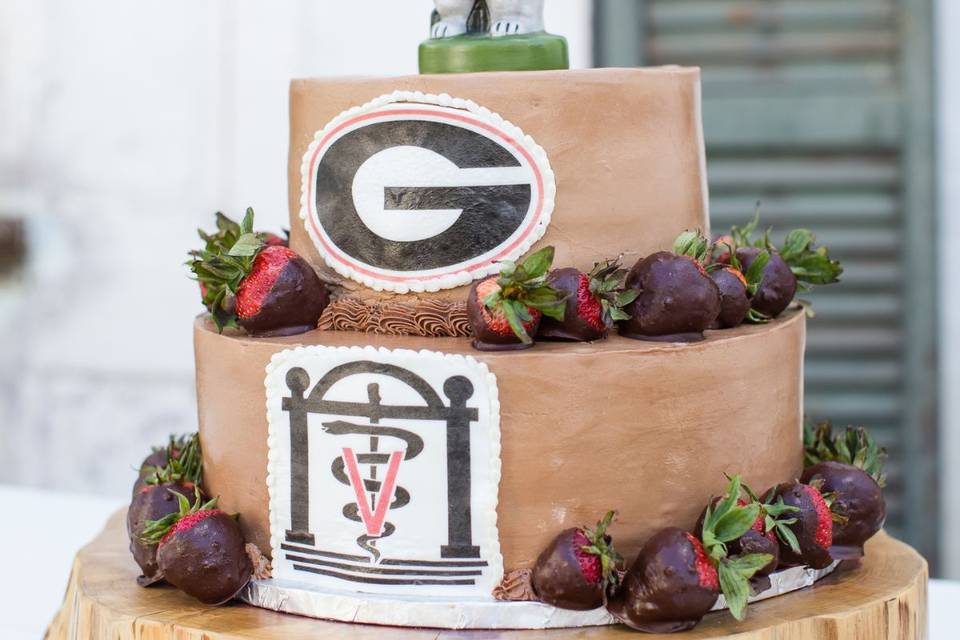 Georgia Bulldogs grooms cake