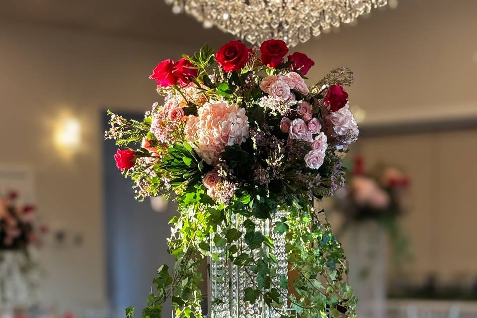 Elegance Elevated