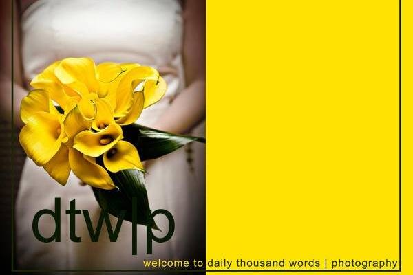 Daily Thousand Words Photography