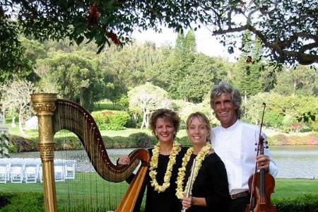 Harp, Violin, and Flute Trio provide wedding and reception music on Lana'i