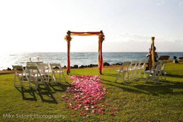 Harp Music for Multi-Cultural, American/East Indian Wedding Ceremony at Wailea Marriot, Island of Maui