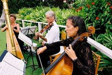 Harp, Violin, and Cello provide Ceremony Music for Four Seasons Resort Maui Wedding