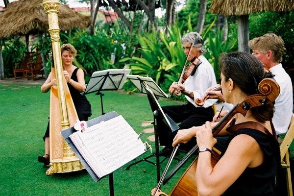 Quartet of Harp, Violin, Viola, and Cello provide Ceremony and Cocktails Music, Four Seasons Resort Maui