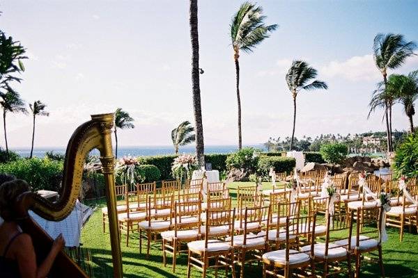 Harp Music adds elegance in this Tropical Location, Pacific Ocean in background, Four Seasons Resort Maui