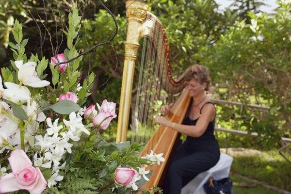 Beautiful Outdoor Wedding on Maui, Hawaii