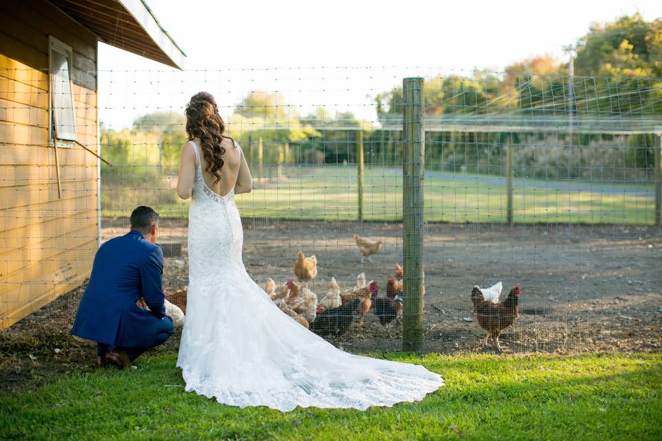 Newlyweds kissing in the field
