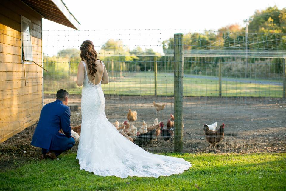 Newlyweds feeding the chickens