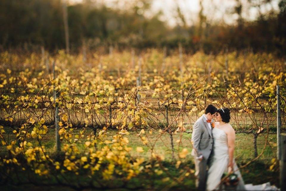 Newlyweds kissing in the field