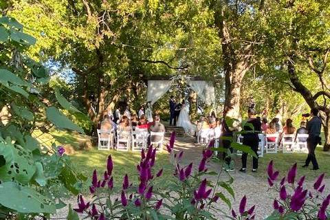 Wedding in the gardens!
