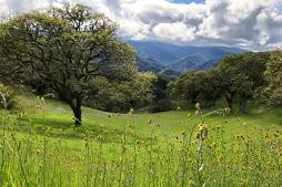Mountain Valley Ceremony Site