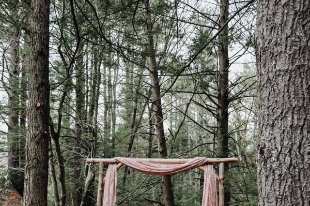 Forest Chapel
