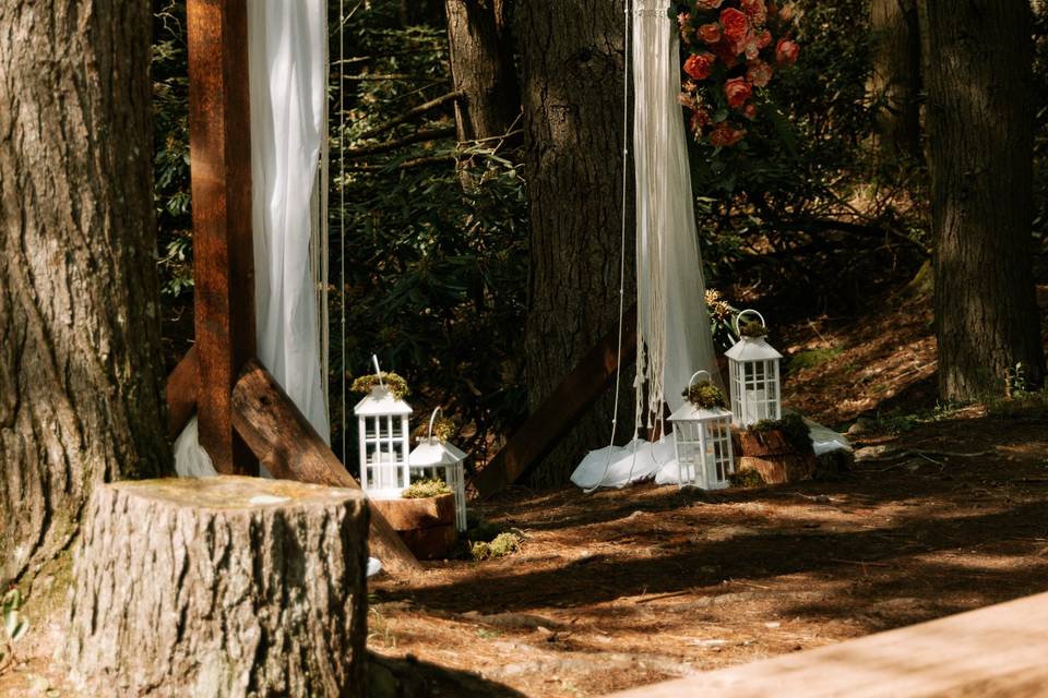Forest Chapel