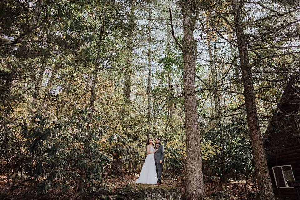In the forest