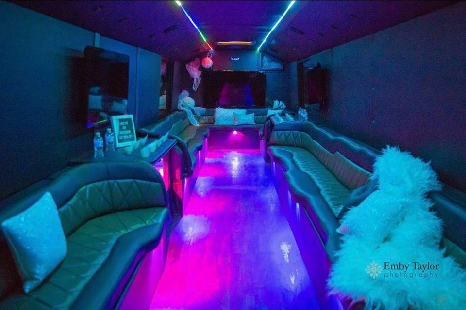 30 Passenger Party bus