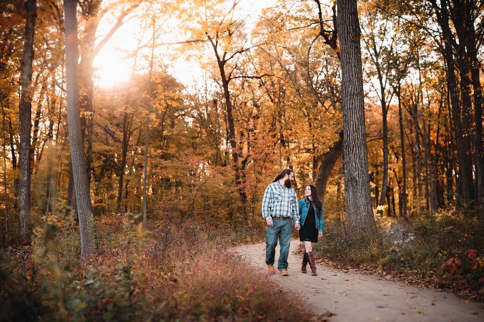 Golden hour forest