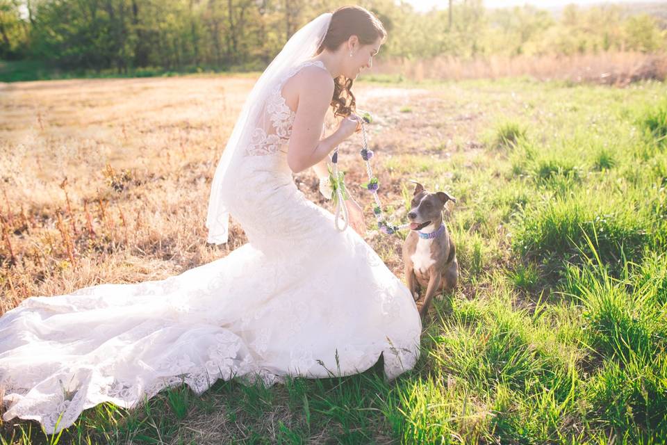 Just a bride and her dog