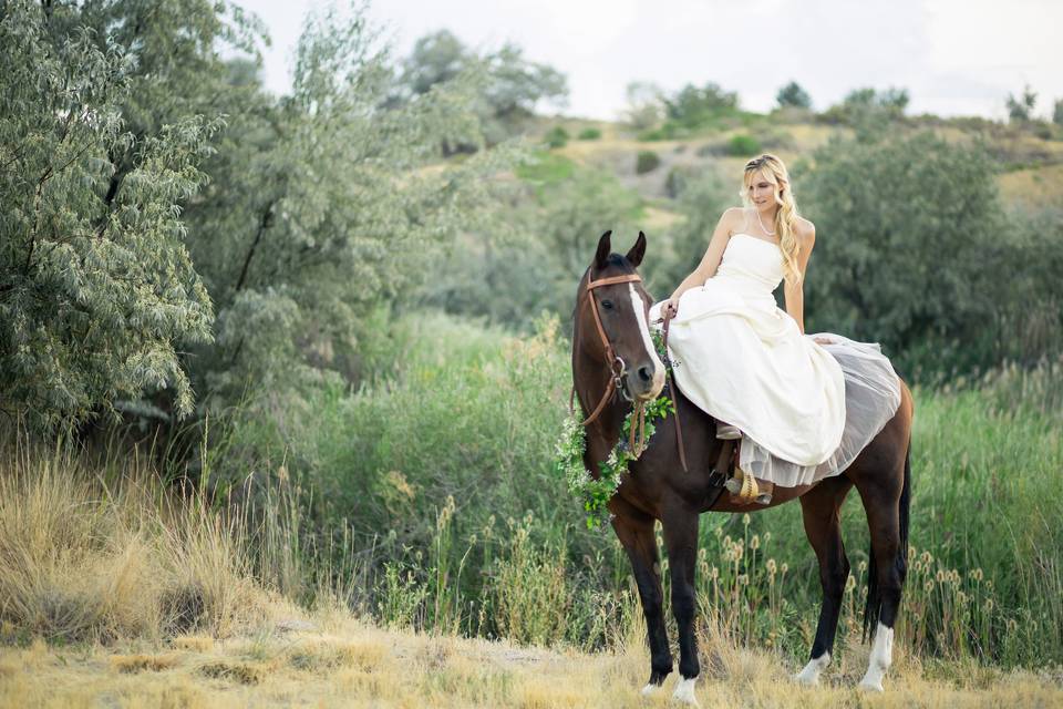 Bridals with Horses