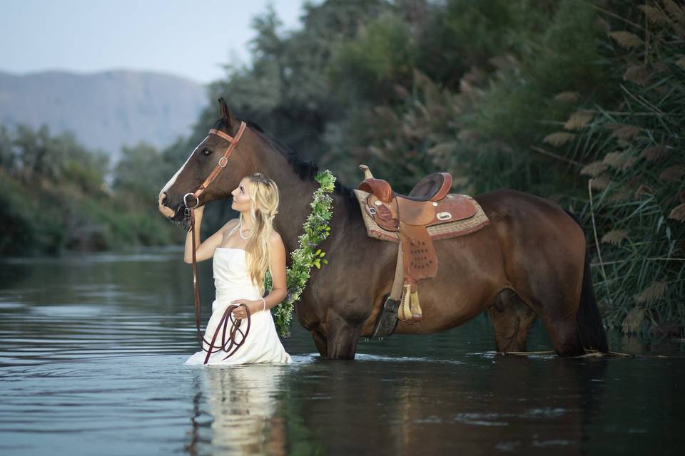 Bridals in Water with Horse