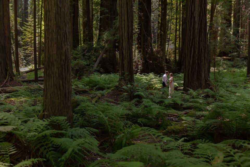 Woodland wedding