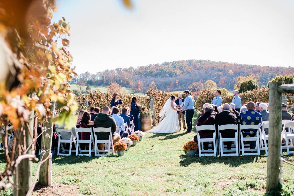 Vineyard Ceremony (Fall)