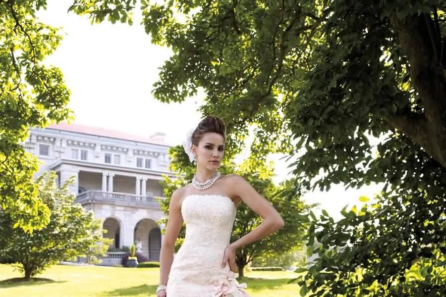 Bridal portrait