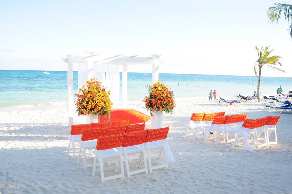 Bright Ceremony