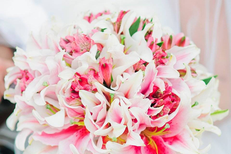 Lillies