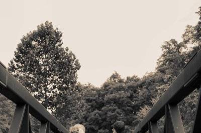 KA Lessey Photography