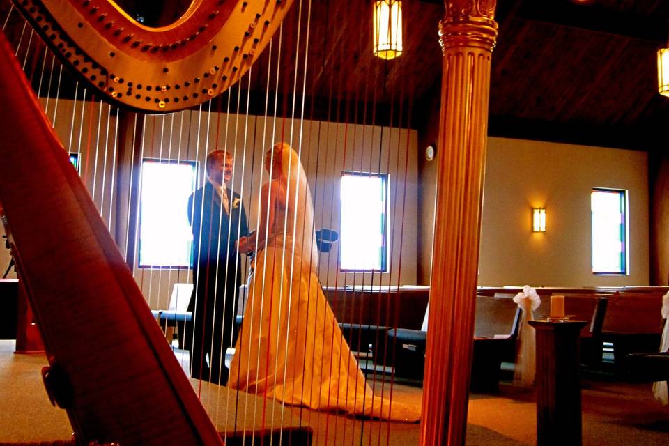 Picture a harp at your wedding!