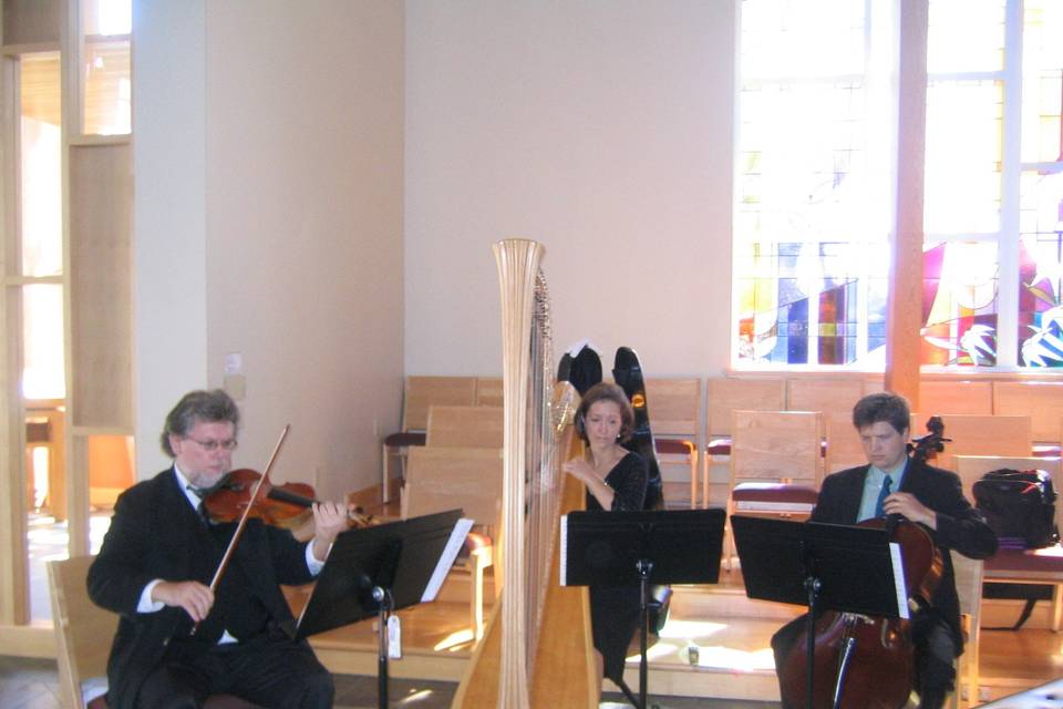 A harp, violin, cello adds a wow factor to your wedding.