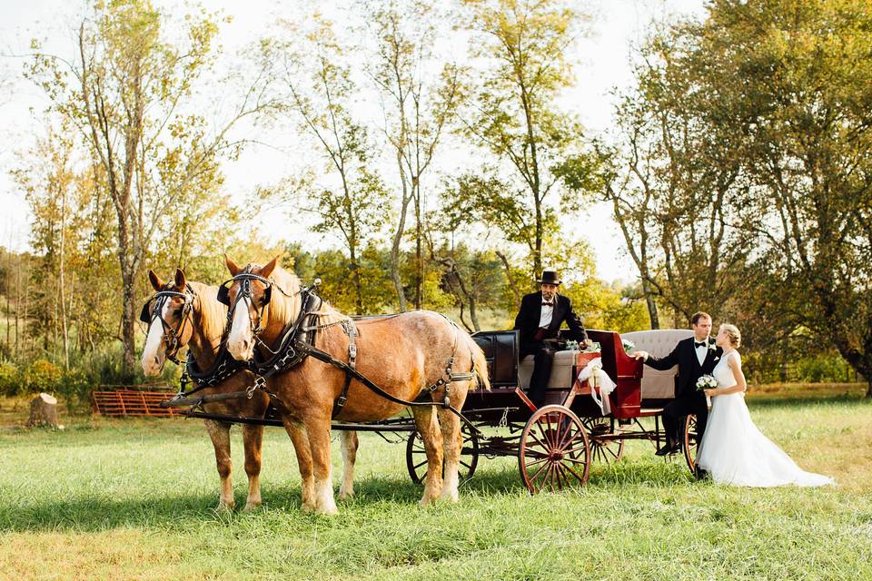 The horse drawn carriage adds such a romantic touch to any day.