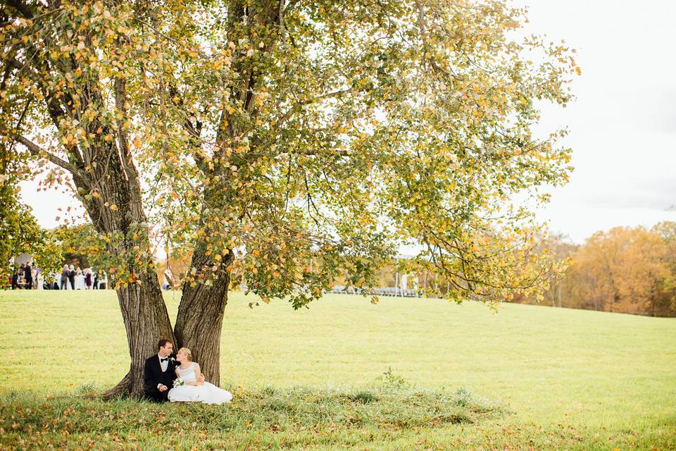 Couples under the tree