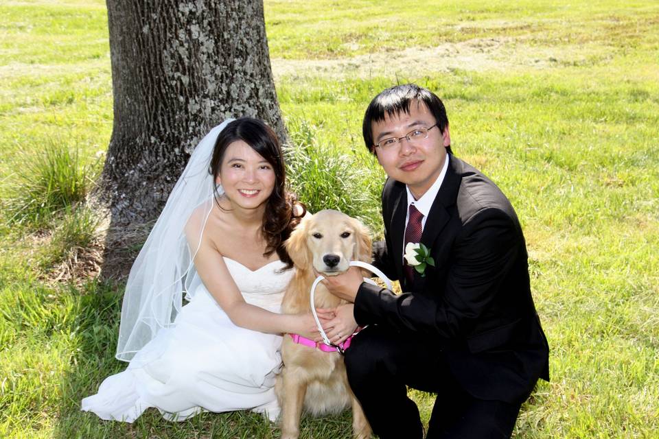 Couples under the tree