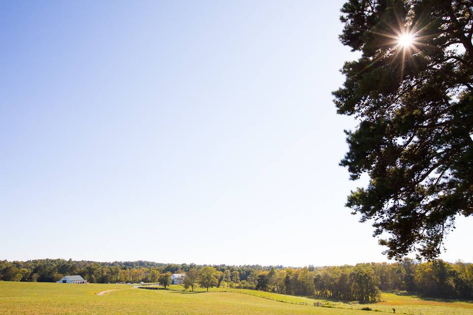 Barn at Edgewood