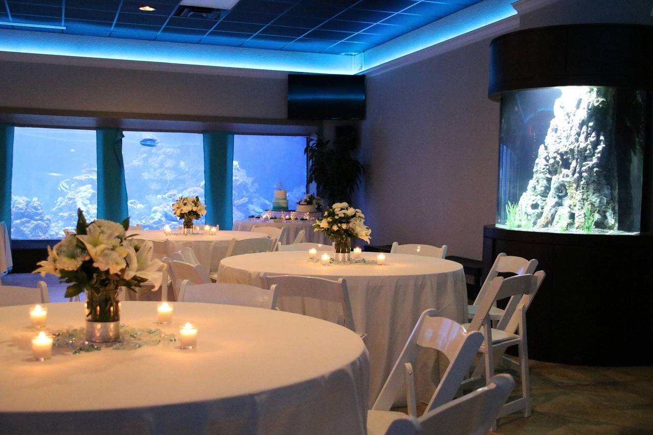 gulfarium wedding