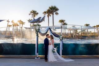 Gulfarium Marine Adventure Park