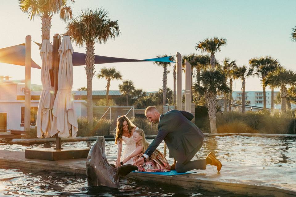 Unique Animal Encounters