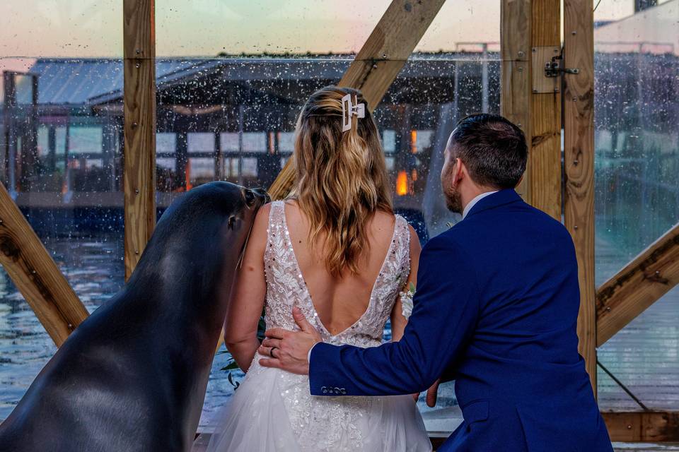 Unique Photo Opportunities