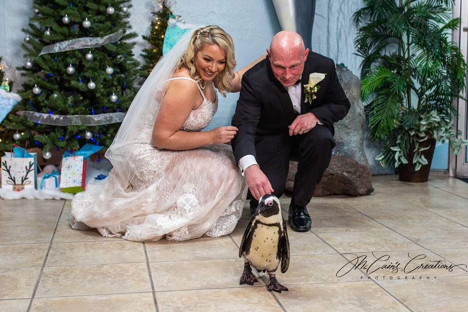 Photos with the Penguins